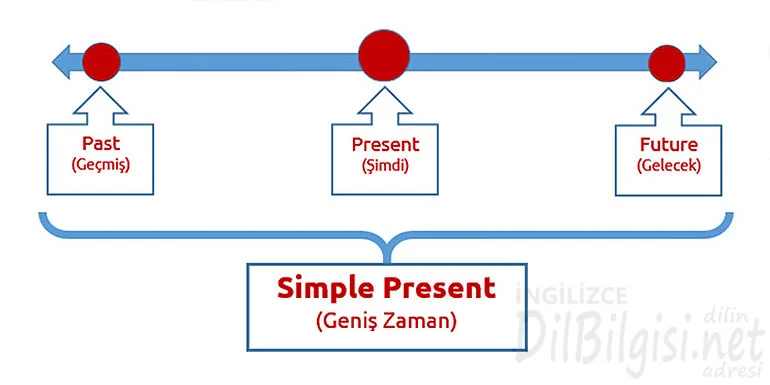 Simple present tense / ingilizce geniş zaman