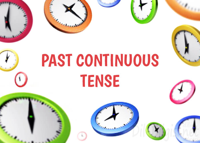 Past Continuous / Past Progressive Tense