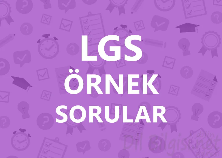MEB LGS örnek Sorular