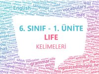 6. Sınıf 1. Ünite Life Kelimeleri