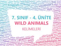 7. Sınıf İngilizce 4. Ünite Kelimeleri - Wild Animals Kelime Listesi