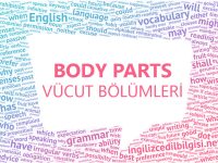 İngilizce Vücut Bölümleri - Body Parts