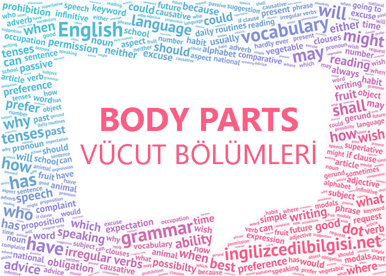 İngilizce Vücut Bölümleri - Body Parts
