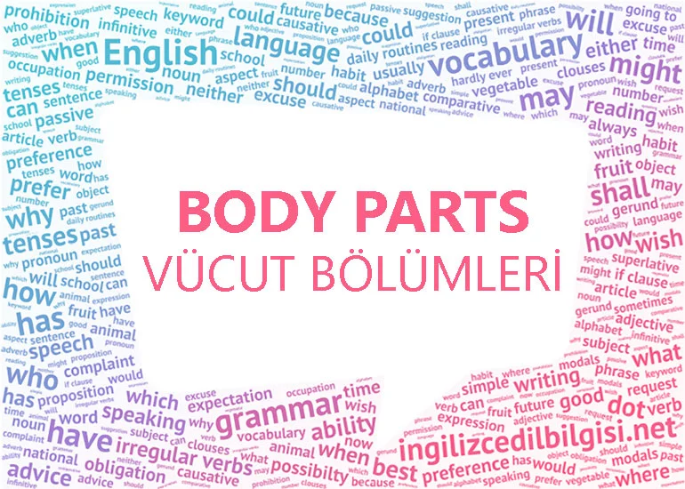 İngilizce Vücut Bölümleri - Body Parts