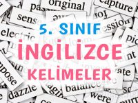 5. Sınıf İngilizce Kelimeler ve Anlamları