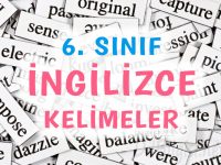 6. Sınıf İngilizce Kelimeler ve Anlamları