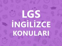 lgs ingilizce konuları