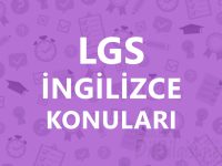 lgs ingilizce konuları